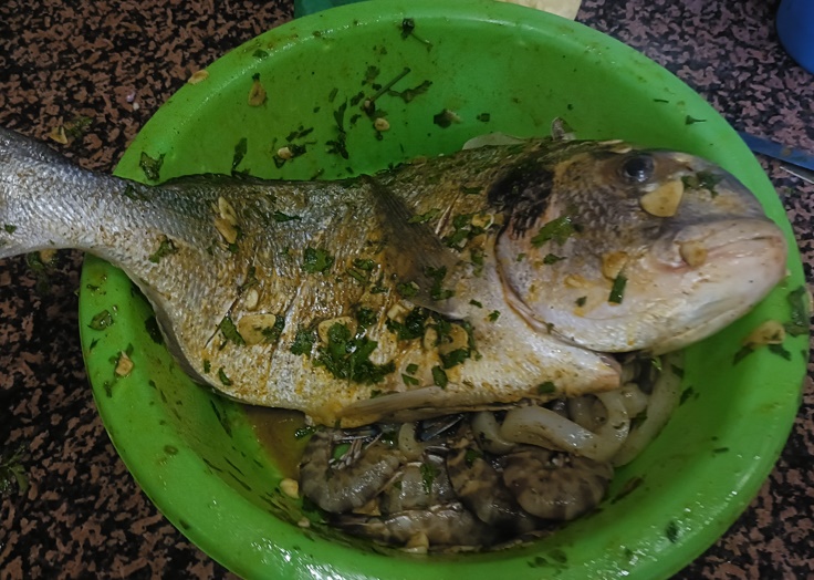 Pêche côtière au Maroc